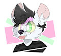 boye by sashtrash