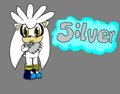 Silver  by ShadAmyLover76