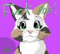 FuckYou Cat Spazzy