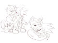 WolfxSonic - Sketch