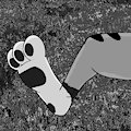 Mystery Foot #2