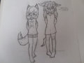 Sketches