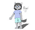 Chinchilla boy