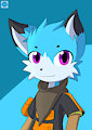 .:COM:. Pidhy