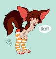 Kip in Socks