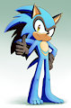 Foxhound The Hedgehog by SonicFoxhound