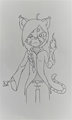 Kiba magician (my fursona) by KibaTrapecio
