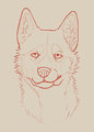Husky