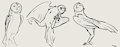 Some Doodles
