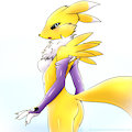 Renamon by Rockarboom2013