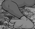 Mystery Foot #3 by djonskin