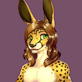Chabbot icon by RaineShadowpaw