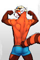 CM17: Ailus Tochar (Boxers)