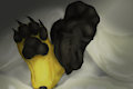Bigpaw Sockedpaws