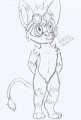 #143 - Wonny