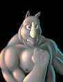 Dashen