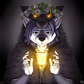 The shaman