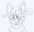 #144