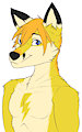 Youtube Profile - Tommy