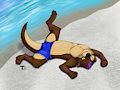 Wiggling in the Sand-Reupload