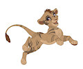 Lion cub Kosey