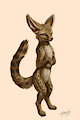 She smiles like a cheetah and hugs like a fennec
