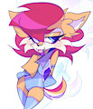 ninja sally by horroir