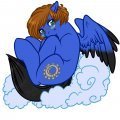 10$ Pony 12 