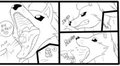 Ninetales vores megamicro Slidey