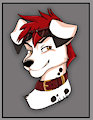 Cobalt Headshot