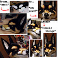 German Shepherd mix fursuit partial commission