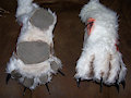 Zee feetpaws