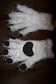 White Zee handpaws