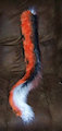 Zee tail
