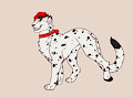 Cobalt Cat by CobaltDawg