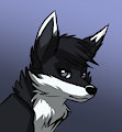 "Stumbled into something larger, indeed..." [AylaStarDragon]