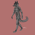 anatomy study