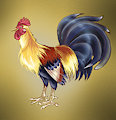 GIANT DRAWING OF A COCK by Zrcalo