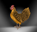 CHICKEN - HEN by Zrcalo