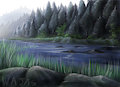 Trickling brook - wajas background