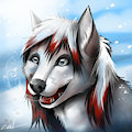 $10 speedpaint avatar commission - Snowy dog