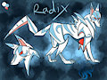 - R A D I X -