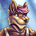icon 2/2