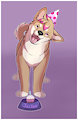 Birthday Shibe! by AshtonDaSheebs