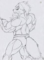Wolf O'Donnell (PLA)