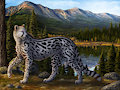 Watchful Aryn by Cheetahs