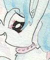 A Bouncy Sonata