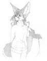 Yucca Sketch