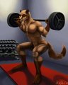 Squat