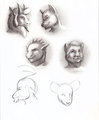 Headshots by KaShe